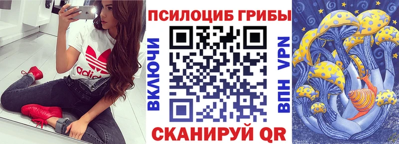 Галлюциногенные грибы Psilocybe Борисоглебск