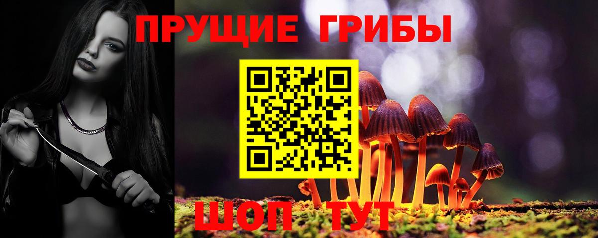 Псилоцибиновые грибы Psilocybe Борисоглебск